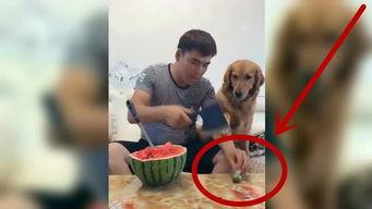 妞妞在吃瓜,揭秘娱乐圈幕后故事  第1张