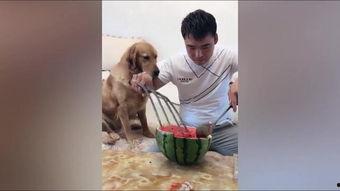 妞妞在吃瓜,揭秘娱乐圈幕后故事  第2张