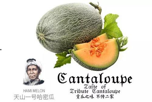 一号吃瓜,揭秘娱乐圈背后的那些事儿  第2张