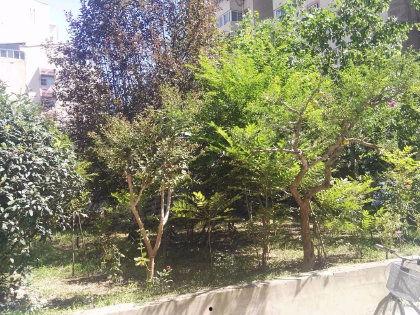 绅士吃瓜花园密码,解码神秘密码，探寻瓜界奥秘  第1张