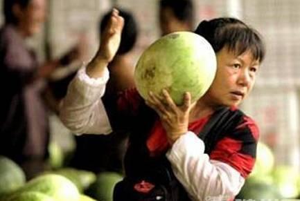 吃瓜六队,一场娱乐界的风云际会  第2张