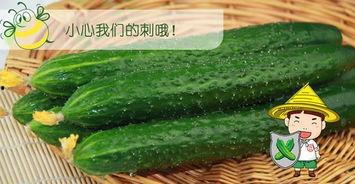 吃瓜六队,一场娱乐界的风云际会  第3张