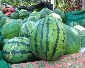 选瓜怎么吃,不同瓜类美味吃法全攻略  第1张