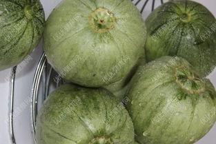 孕妇能否吃胜瓜,胜瓜的适宜与禁忌  第3张