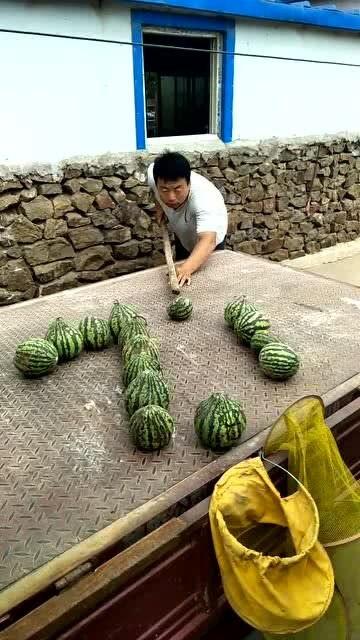 下沉广场打野吃瓜,揭秘街头文化新潮流