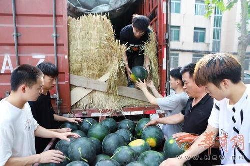 贵州师范学院 吃瓜,吃瓜群众眼中的校园风云录  第2张