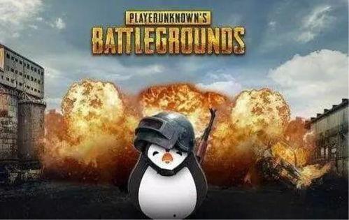 瓜仔瞬间吃鸡,揭秘游戏高手瞬间制胜秘诀  第2张