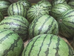 我在村东头吃瓜,夏日闲情话家常  第2张