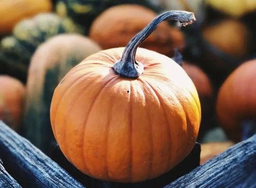 黄方瓜怎么吃,解锁美味新体验  第2张