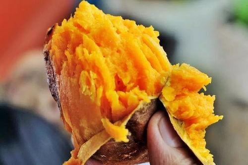 黄方瓜怎么吃,解锁美味新体验  第3张