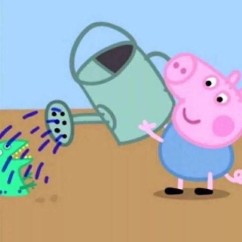 小猪吃瓜情侣头像,小猪情侣头像演绎浪漫爱情故事