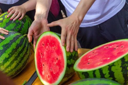 吃瓜杭州大学,揭秘杭州大学生的“吃瓜”生活  第2张