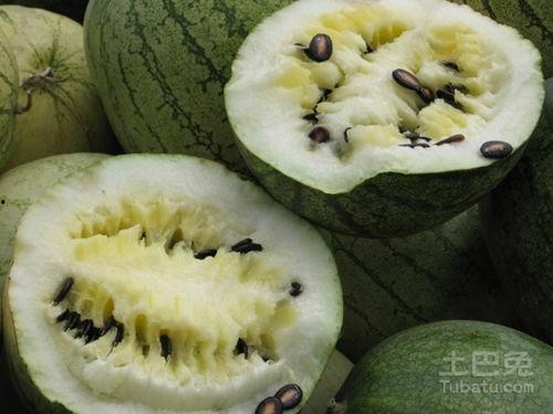 籽瓜只能摔着吃,籽瓜的独特食用之道