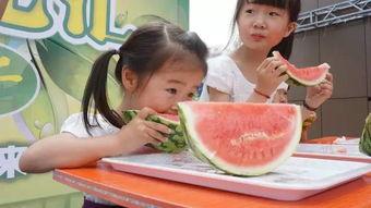 吃瓜比赛参赛人员,吃瓜比赛参赛人员大揭秘！”  第3张