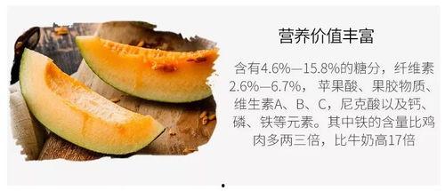 人间采蜜吃瓜,采蜜品瓜，尽享生活滋味