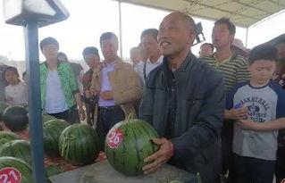 柘城吃瓜群众,揭秘当地独特饮食文化