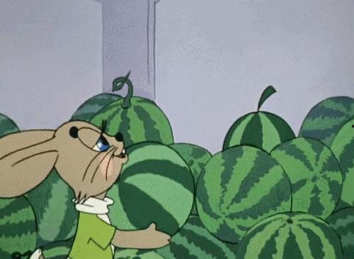 吃瓜人渴望买瓜,揭秘吃瓜人疯狂抢购瓜果的幕后故事