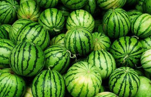 吃瓜哪里最多,吃瓜群众聚集地，哪个城市最盛产“瓜农”？