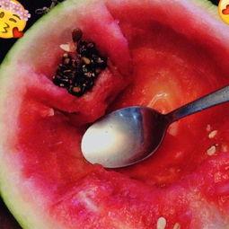 无聊的吃瓜小号,网络世界的趣味观察者