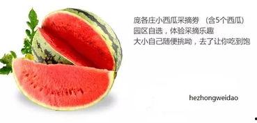 水中吃瓜,探寻夏日清凉美食之旅