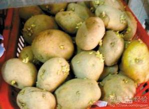 吃二甲酸瓜头晕恶心,头晕恶心现象解析