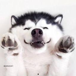 吃瓜刺激视频大全