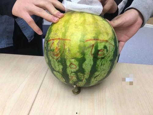 课堂吃瓜,揭秘校园里的趣味瞬间