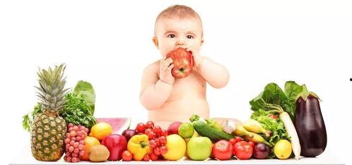 婴儿吃瓢瓜,瓢瓜美食之旅