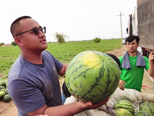 吃瓜群4676456,一场全民参与的娱乐盛宴  第2张